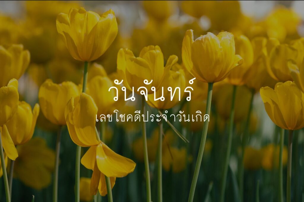 เลขมงคลตามวันเกิด วันจันทร์