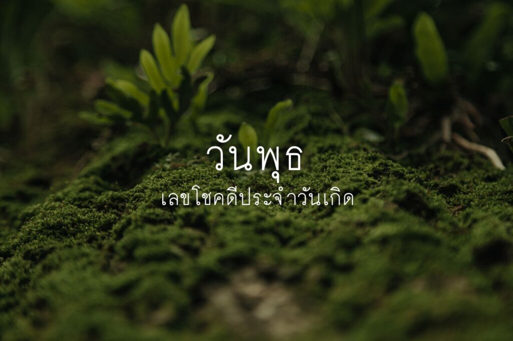 เลขมงคลตามวันเกิด วันพุธ