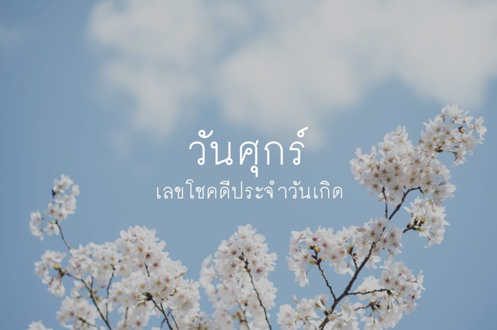 เลขมงคลตามวันเกิด วันศุกร์