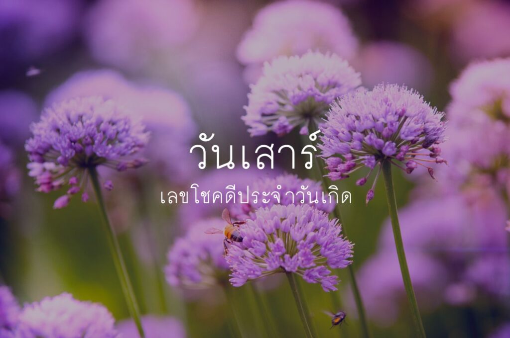 เลขมงคลตามวันเกิด วันเสาร์